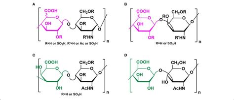 | Structure of GAGs. Structures of heparin/heparan sulfate (A),... | Download Scientific Diagram