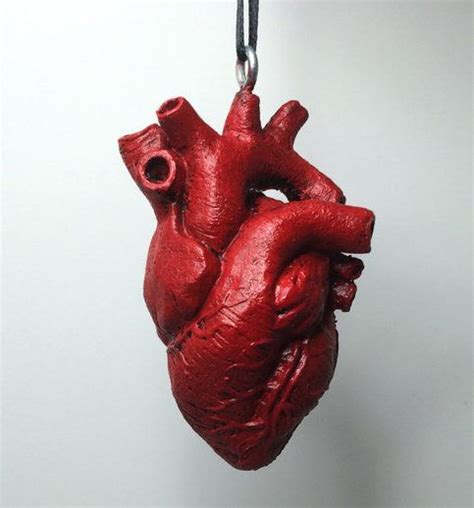 Anatomical Human Heart Ornament By: DellaMorte & Co. Sculpted human ...