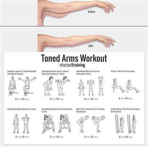 Pin by Brenda van Zyl on Exercises | Arm workout, Workout, Tone arms workout