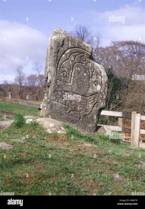 dh Eagle stone Pictish art STRATHPEFFER CROMARTY ROSS Rock pict prehistoric scotland sculpture ...