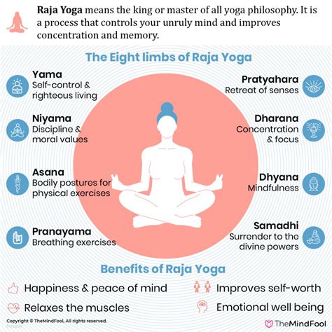 Know All Elements of Raja Yoga - A Spiritual Practice | TheMindFool