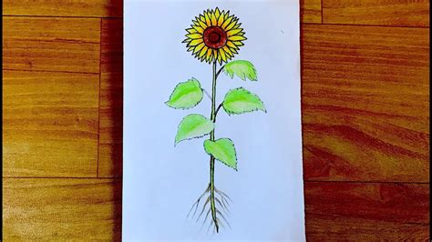 How to draw plant of a flower very easy simple flower plant drawing for beginners - YouTube