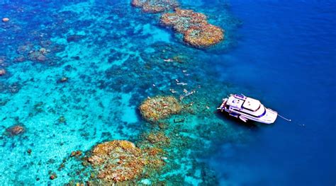 Great Barrier Reef Tours Cairns - GreatBarrierReefToursCairns.com