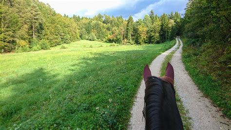 10 Best Places For Horseback Riding In Maryland - Southern Trippers