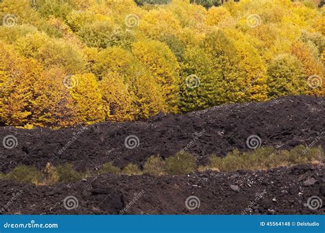 Etna Volcano, Sicily, Italy Stock Photo - Image of europe, fall: 45564148