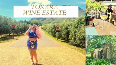 Tokara Wine Estate ( Stellenbosch , South Africa) - YouTube