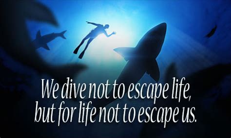 Scuba Diving Quotes