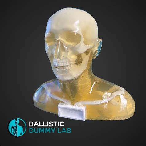 Deluxe Ballistic Dummy Gel Bust – Ballistic Dummy Lab