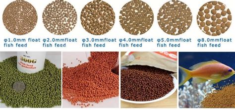 Vital Fish Feed Pellets for Catfish - 15kg - Afrimash.com - Nigeria