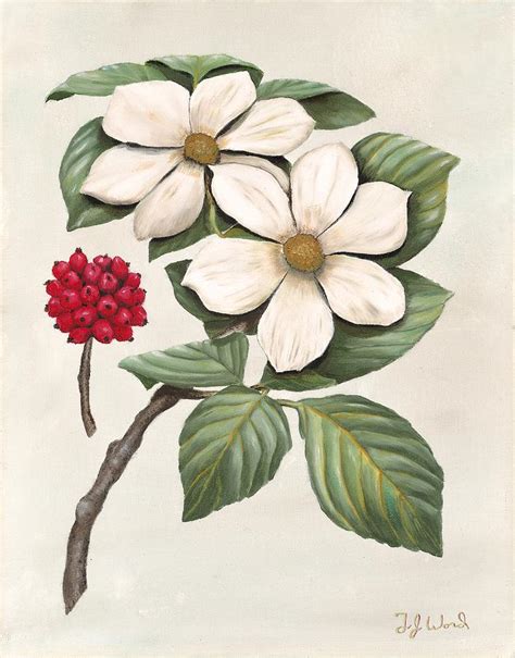 Dogwood In Bloom #1 Painting by TJ Word - Fine Art America