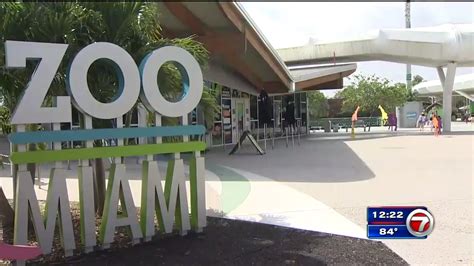 Zoo Miami closed through Thursday due to Hurricane Ian - WSVN 7News ...