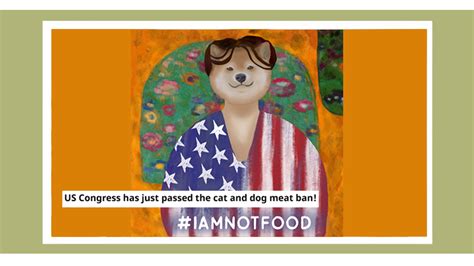 US Congress has just passed the cat and dog meat ban! - 世界愛犬聯盟