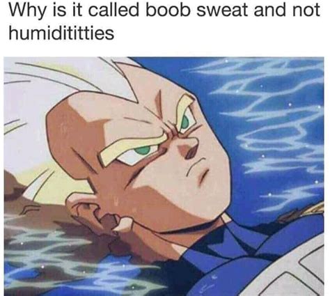 Pin by Kae Writer on Vegeta | Funny troll, Memes, Funny pictures