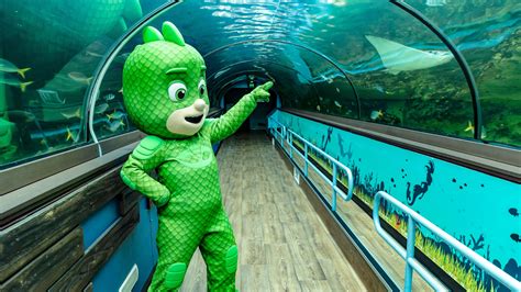 Marine Mayhem! PJ Masks at SEA LIFE Sydney Aquarium | Darling Harbour