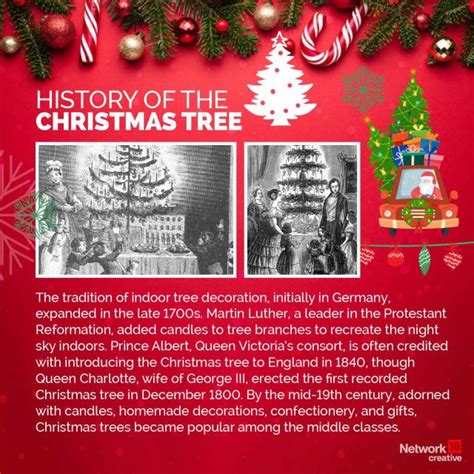 In Graphics | What's the history behind the Christmas tree? – Firstpost