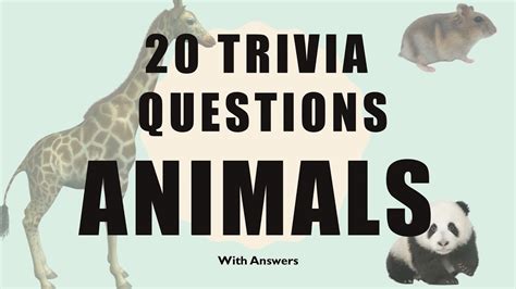 Animal Trivia Questions Hard : Challenge them to a trivia party!