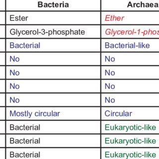 (PDF) Information Processing Differences Between Archaea and Eukaraya—Implications for Homologs ...