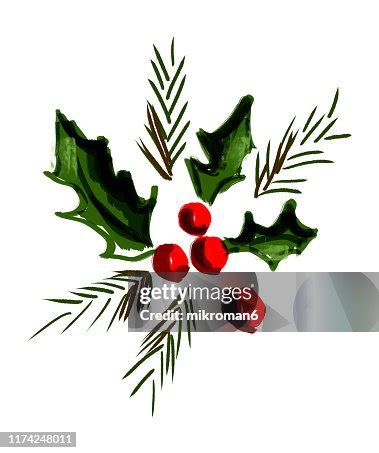 Christmas Illustration Of Ivy And Holly Christmas Card High-Res Stock ...