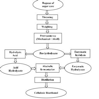 Diagram of bioethanol production from sugarcane bagasse | Download ...