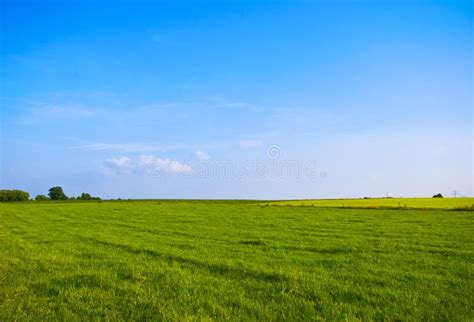 Green blue landscape stock photo. Image of scenic, field - 5553402