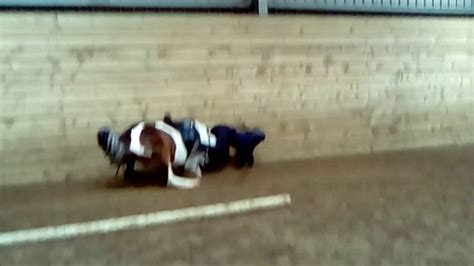 My Bad Horse Riding Fall - YouTube