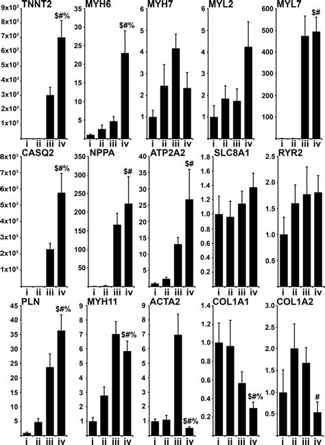 Gene expression analysis. Relative gene expression analysis performed ...