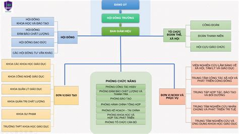 Sơ đồ tổ chức - Trường Đại học giáo dục