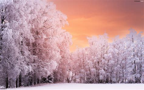 Winter Sunset Desktop Wallpapers - Top Free Winter Sunset Desktop Backgrounds - WallpaperAccess