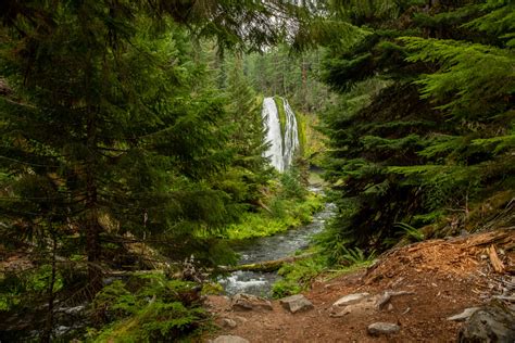 20 Best Oregon Waterfall Hikes - Hike Oregon