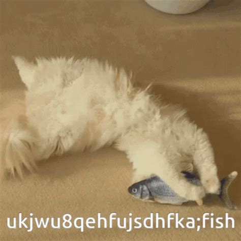 Cat Fish GIF - Cat Fish Floppy Fish - Discover & Share GIFs