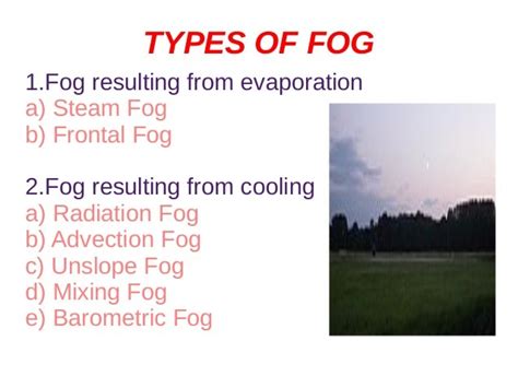 Study Notes on Fog