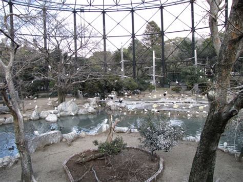 Zoos in Japan: Tennoji Zoo (Osaka Municipal Tennoji Zoological Gardens)