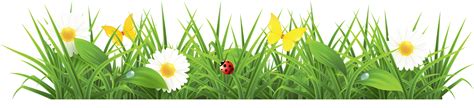 cartoon grass png 20 free Cliparts | Download images on Clipground 2024