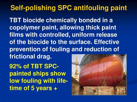 PPT - ANTI- FOULING PowerPoint Presentation, free download - ID:6116824