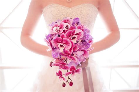 Exotic cascading wedding bouquet of purple pink orchids