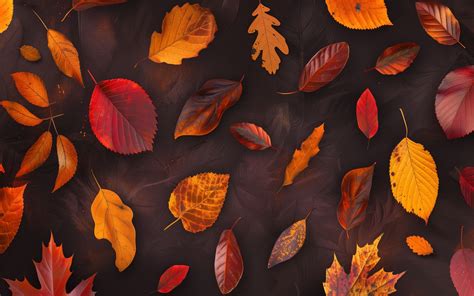 Autumn Leaves Wallpapers Free Download