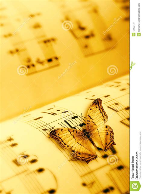 Butterfly on a music sheet stock image. Image of harmony - 12302137