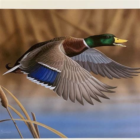 Artist John Brennan LE Print Brisk Retreat Idaho Ducks Unlimited Signed Mallard | Ducks ...