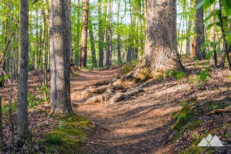 State Botanical Garden of Georgia: great Athens running trails