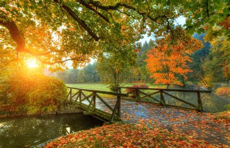 Beautiful Autumn Scenery in Park. Stock Photo - Image of bridge, brook: 101482086