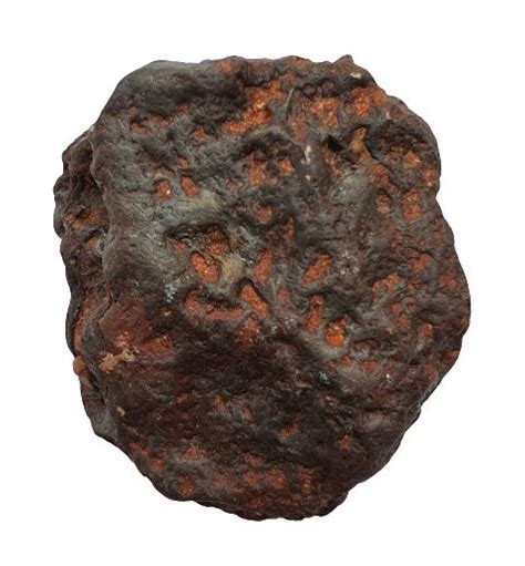 IRON METEORITE NWA 117g #A203 | Meteorite, Iron meteorite, High iron