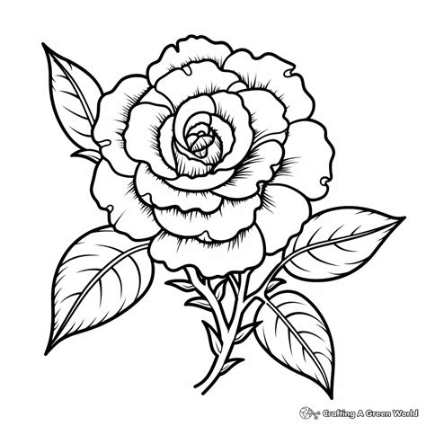 Black White Flowers Coloring Pages Free Printable!, 55% OFF