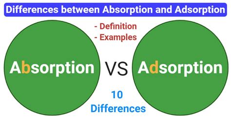 Absorption vs. Adsorption: 10 Differences, Examples