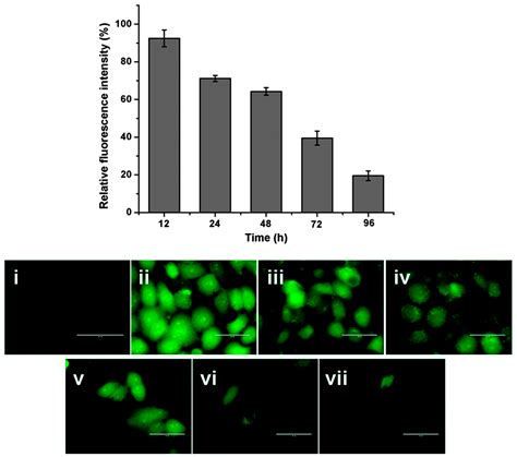 IJMS | Free Full-Text | The Role of Reactive Oxygen Species (ROS) in ...