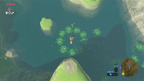 Israbi: Korok Riddles Electric Fish