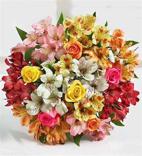 Assorted Rose & Peruvian Lily Bouquet | Same Day Flower Delivery