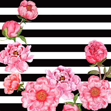 Black And White Flowers With Pink