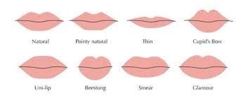 Image result for lip shape types | Môi, Sephora, Cranberries