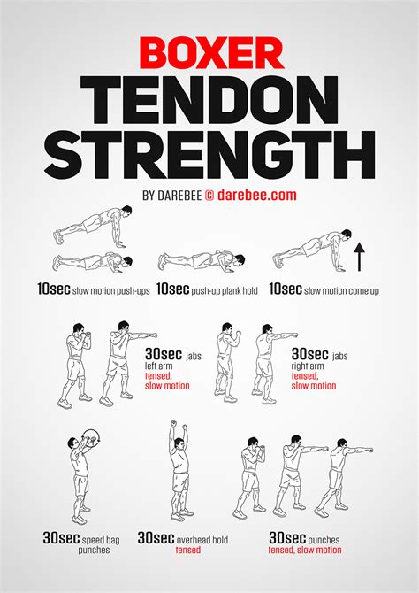 Boxer Tendon Strength Workout