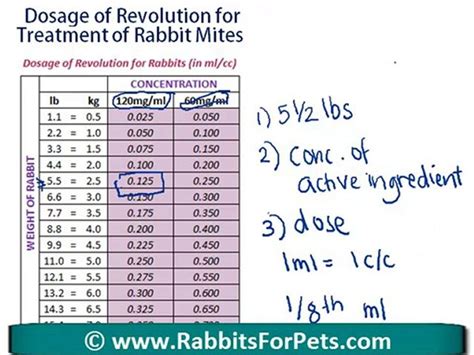 http://www.rabbitsforpets.com/rabbit-... Rabbit Mites - Revolution ...